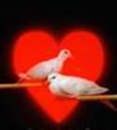 mazeyar30&nbsp;ahmadi